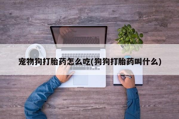 网上卖打胎药微信在线联系方式宠物狗打胎药怎么吃(狗狗打胎药叫什么)